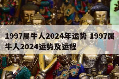 1997属牛人2024年运势 1997属牛人2024运势及运程