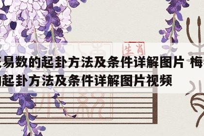梅花易数的起卦方法及条件详解图片 梅花易数的起卦方法及条件详解图片视频