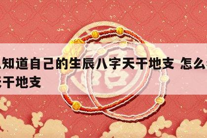 怎么知道自己的生辰八字天干地支 怎么看八字天干地支