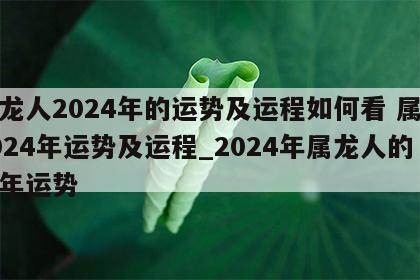 属龙人2024年的运势及运程如何看 属龙2024年运势及运程_2024年属龙人的全年运势