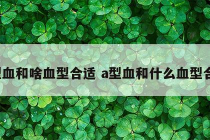 a型血和啥血型合适 a型血和什么血型合适