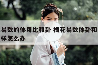 梅花易数的体用比和卦 梅花易数体卦和用卦都一样怎么办