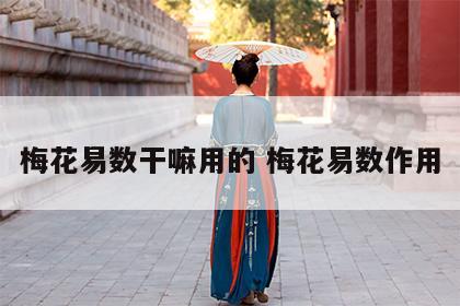 梅花易数干嘛用的 梅花易数作用