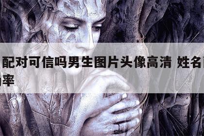 姓名配对可信吗男生图片头像高清 姓名配对准确率