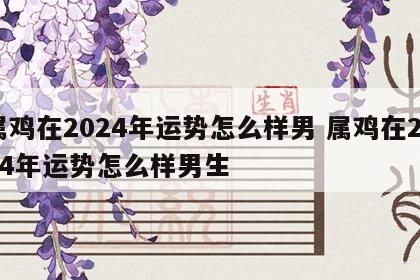 属鸡在2024年运势怎么样男 属鸡在2024年运势怎么样男生