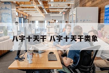 八字十天干 八字十天干类象