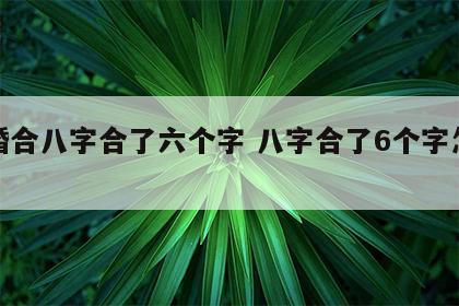 结婚合八字合了六个字 八字合了6个字怎么样