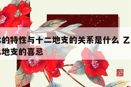 乙木的特性与十二地支的关系是什么 乙木对十二地支的喜忌
