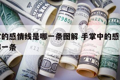 手掌的感情线是哪一条图解 手掌中的感情线是哪一条