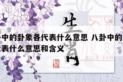 八卦中的卦象各代表什么意思 八卦中的卦象各代表什么意思和含义