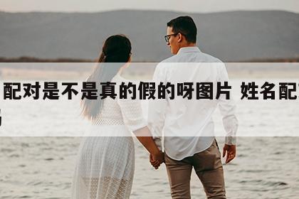 姓名配对是不是真的假的呀图片 姓名配对有用吗