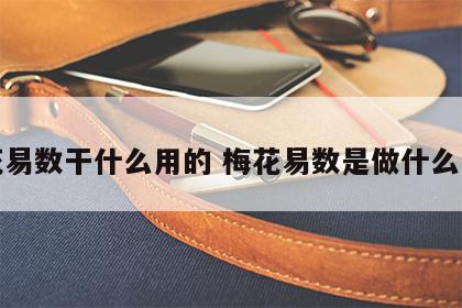 梅花易数干什么用的 梅花易数是做什么用的