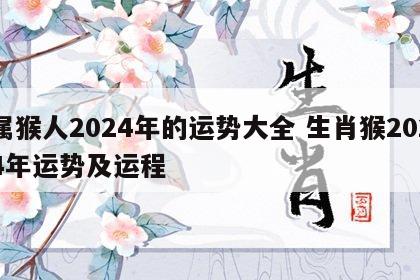属猴人2024年的运势大全 生肖猴2024年运势及运程