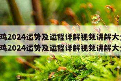 属鸡2024运势及运程详解视频讲解大全 属鸡2024运势及运程详解视频讲解大全