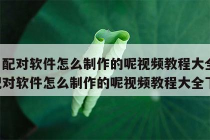 姓名配对软件怎么制作的呢视频教程大全 姓名配对软件怎么制作的呢视频教程大全下载