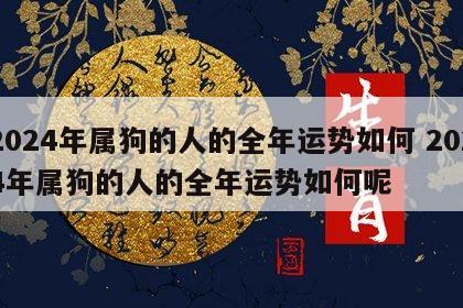 2024年属狗的人的全年运势如何 2024年属狗的人的全年运势如何呢