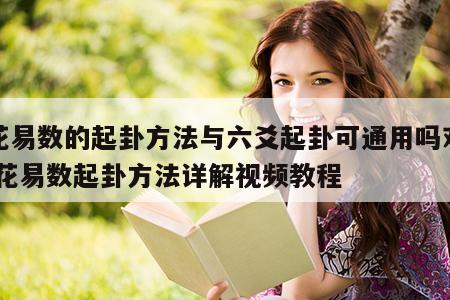梅花易数的起卦方法与六爻起卦可通用吗对吗 梅花易数起卦方法详解视频教程