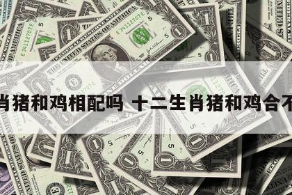 生肖猪和鸡相配吗 十二生肖猪和鸡合不合