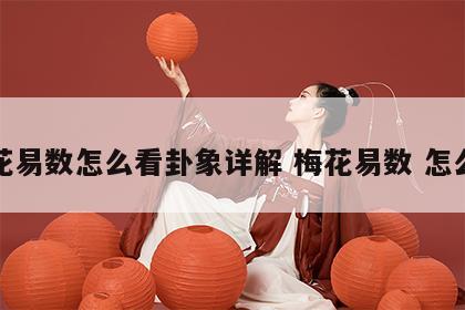 梅花易数怎么看卦象详解 梅花易数 怎么看