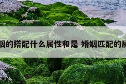 婚姻的搭配什么属性和是 婚姻匹配的属相