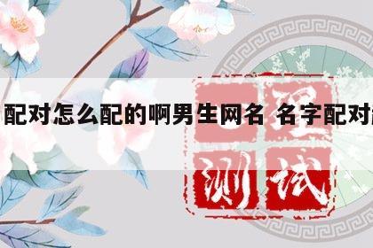 姓名配对怎么配的啊男生网名 名字配对起网名