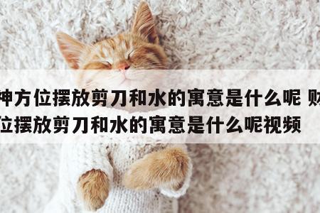 财神方位摆放剪刀和水的寓意是什么呢 财神方位摆放剪刀和水的寓意是什么呢视频