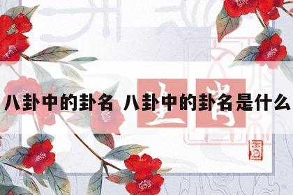 八卦中的卦名 八卦中的卦名是什么
