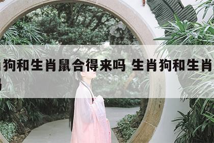 生肖狗和生肖鼠合得来吗 生肖狗和生肖鼠相克吗