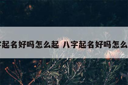 八字起名好吗怎么起 八字起名好吗怎么起名