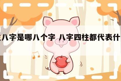 四柱八字是哪八个字 八字四柱都代表什么意思