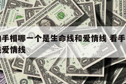 人的手相哪一个是生命线和爱情线 看手相生命线爱情线