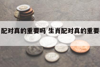 生肖配对真的重要吗 生肖配对真的重要吗女生