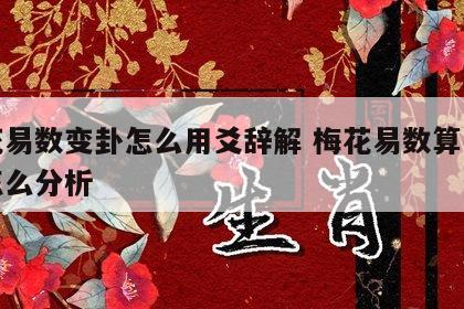 梅花易数变卦怎么用爻辞解 梅花易数算出变卦怎么分析