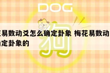 梅花易数动爻怎么确定卦象 梅花易数动爻怎么确定卦象的