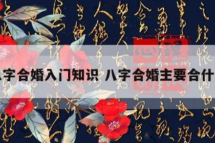 八字合婚入门知识 八字合婚主要合什么