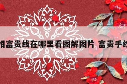 手相富贵线在哪里看图解图片 富贵手纹线