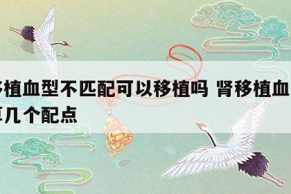 肾移植血型不匹配可以移植吗 肾移植血型一样算几个配点