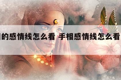 手相的感情线怎么看 手相感情线怎么看图解女