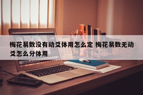 梅花易数没有动爻体用怎么定 梅花易数无动爻怎么分体用