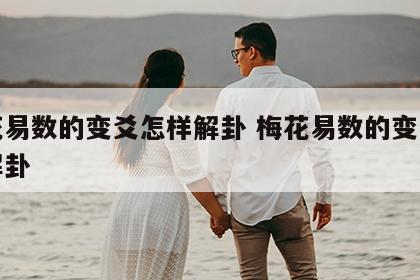 梅花易数的变爻怎样解卦 梅花易数的变爻怎样解卦