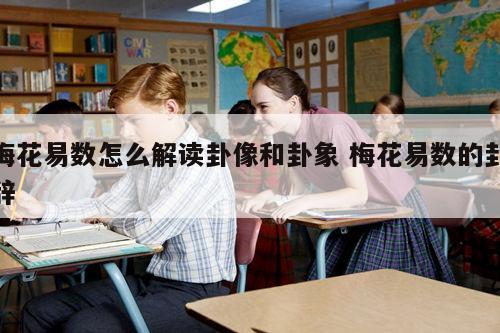 梅花易数怎么解读卦像和卦象 梅花易数的卦辞