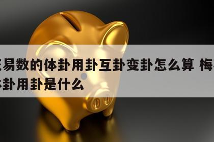 梅花易数的体卦用卦互卦变卦怎么算 梅花易数体卦用卦是什么