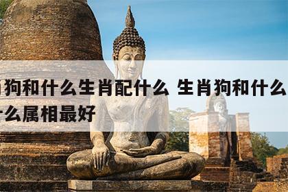 生肖狗和什么生肖配什么 生肖狗和什么生肖配什么属相最好