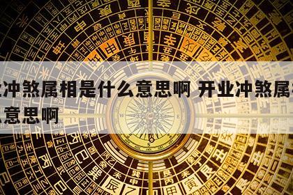 开业冲煞属相是什么意思啊 开业冲煞属相是什么意思啊