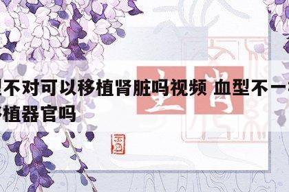 血型不对可以移植肾脏吗视频 血型不一样可以移植器官吗