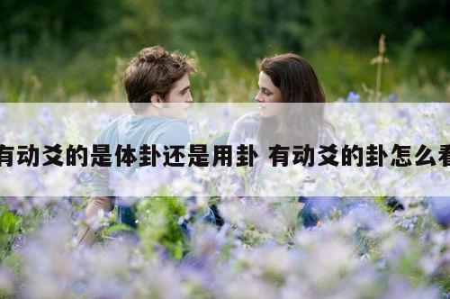 有动爻的是体卦还是用卦 有动爻的卦怎么看