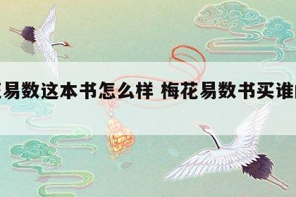 梅花易数这本书怎么样 梅花易数书买谁的版本