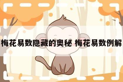 梅花易数隐藏的奥秘 梅花易数例解