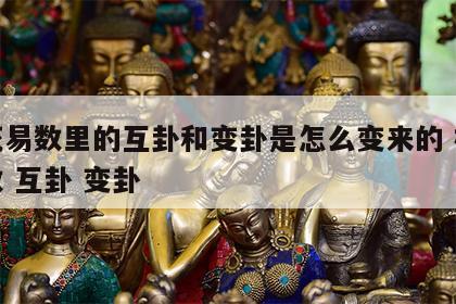 梅花易数里的互卦和变卦是怎么变来的 梅花易数 互卦 变卦