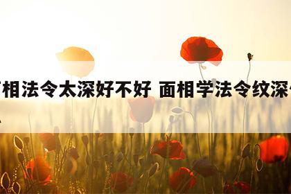 人面相法令太深好不好 面相学法令纹深代表什么